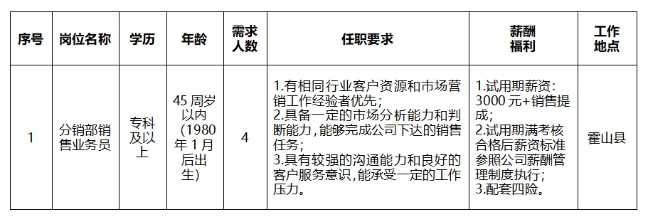 安徽大别山乡村振兴产业发展有限公司2025年招聘临时工作人员公告（一）